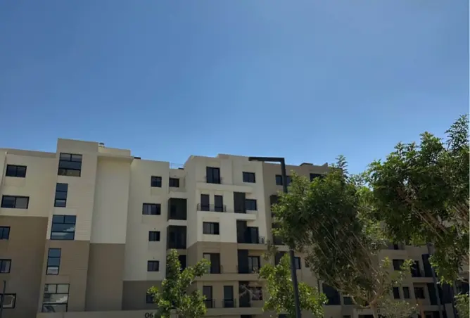 115438800 - صورة العقار 2