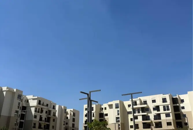 115438800 - صورة العقار 3