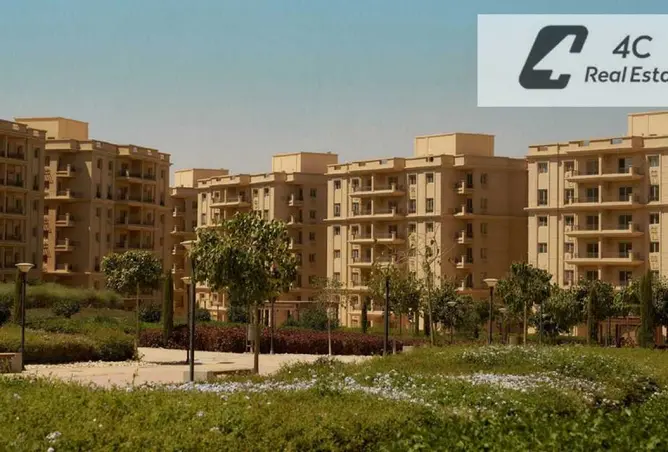 118542909 - Property Image 3