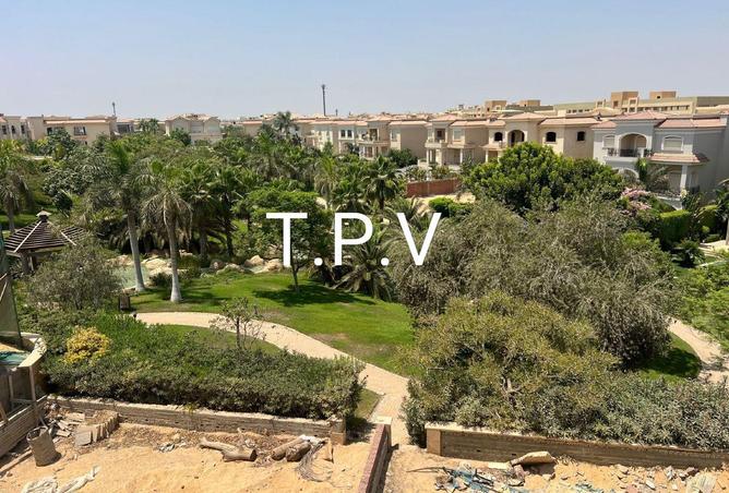 8557555 - صورة العقار 3