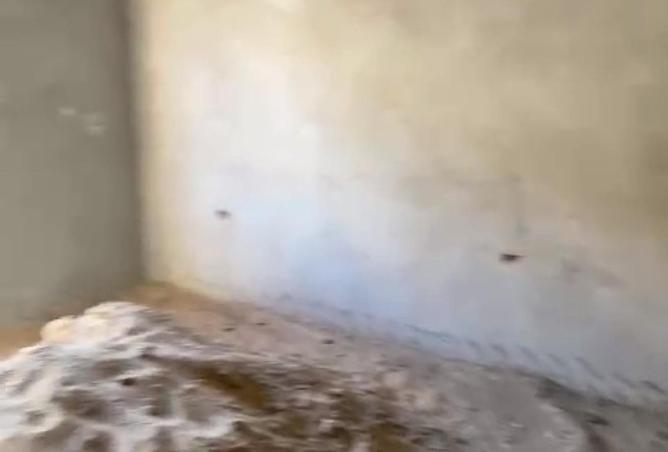 57993197 - Property Image 3