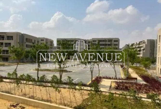 61685920 - Property Image 3