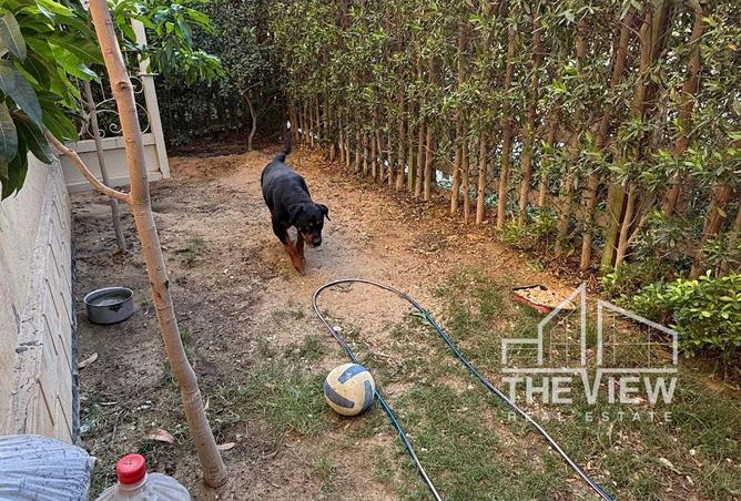 2OWsU8BMvho - صورة العقار 2