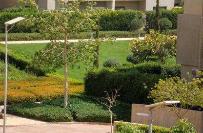 Apartment - 3 Bedrooms - 3 Bathrooms for rent in Moon Residences - Fifth Square - The 5th Settlement - New Cairo City - Cairo Apartment - 3 Bedrooms - 3 Bathrooms for rent in Moon Residences - Fifth Square - The 5th Settlement - New Cairo City - Cairo