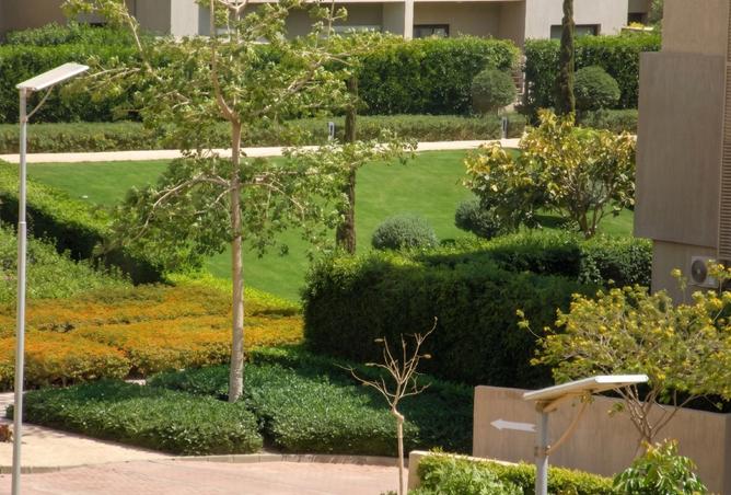 97717816 - صورة العقار 3