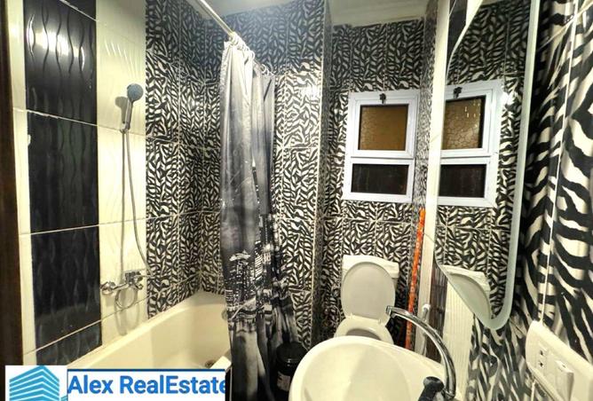 8588359 - Property Image 3