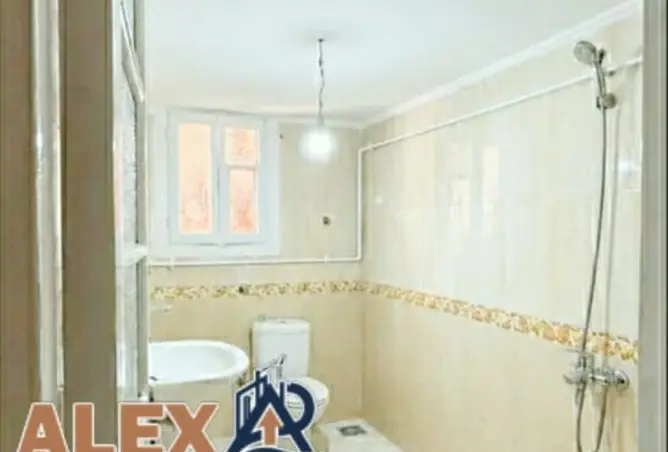 120361146 - Property Image 3