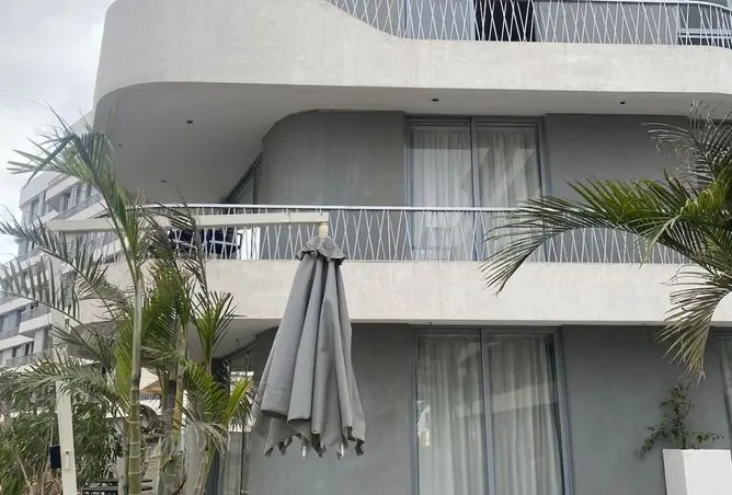 99391041 - Property Image 2