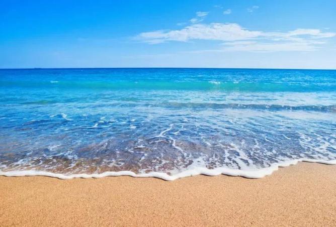 74586475 - صورة العقار 2