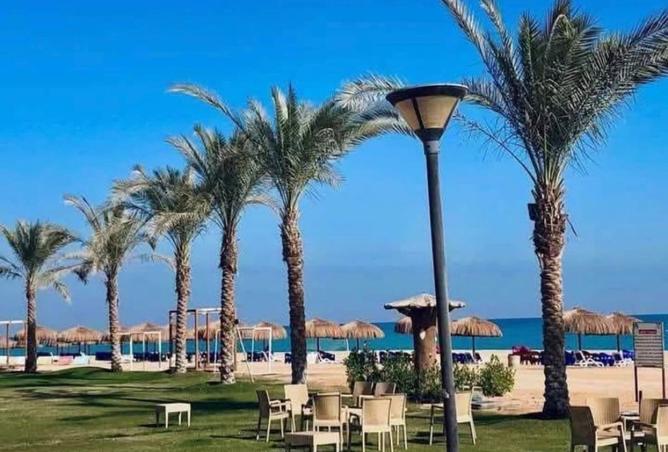 8483401 - Property Image 2