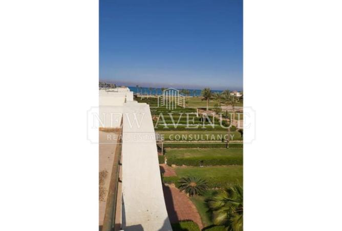 106013576 - Property Image 2