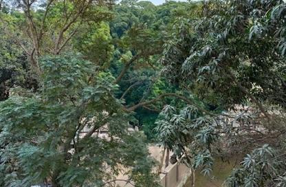 Apartment - 4 Bedrooms - 3 Bathrooms for sale in Al Kamel Mohamed St. - Zamalek - Cairo