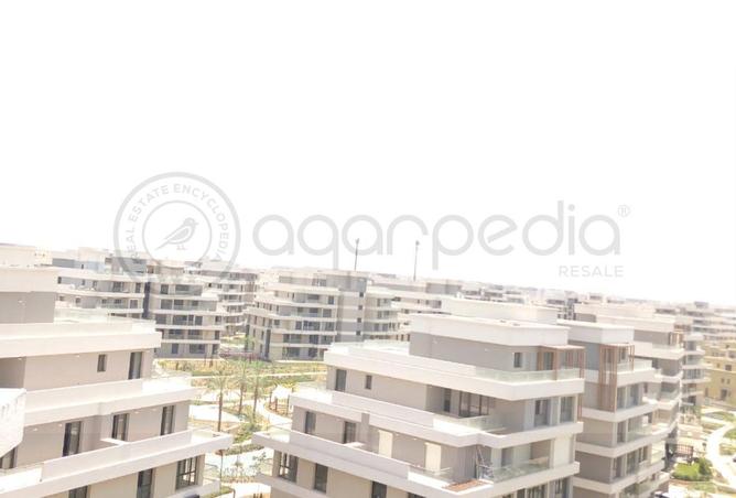 74036867 - Property Image 3