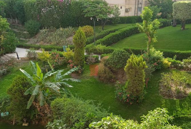 106858002 - صورة العقار 2
