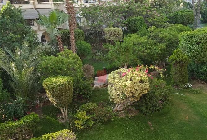 106858002 - صورة العقار 3