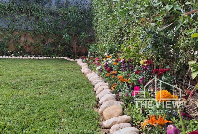 8477204 - Property Image 3