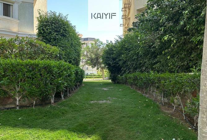 68785724 - Property Image 3