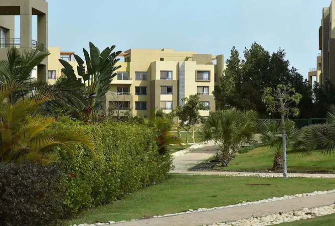116754166 - صورة العقار 3