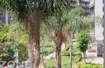 Apartment - 3 Bedrooms - 2 Bathrooms for rent in Privado - Madinaty - Cairo