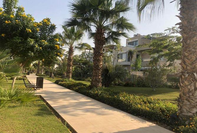 58743641 - Property Image 2