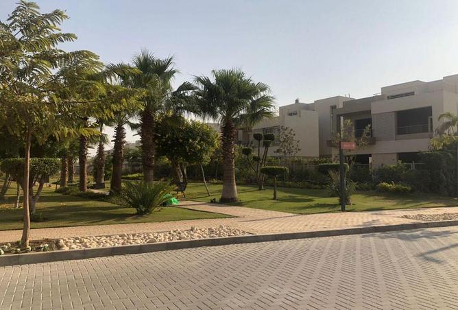 58743641 - Property Image 3