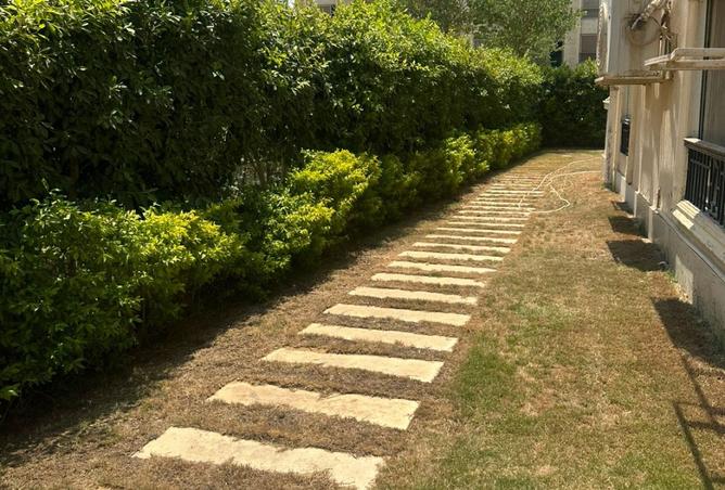 100930621 - صورة العقار 2