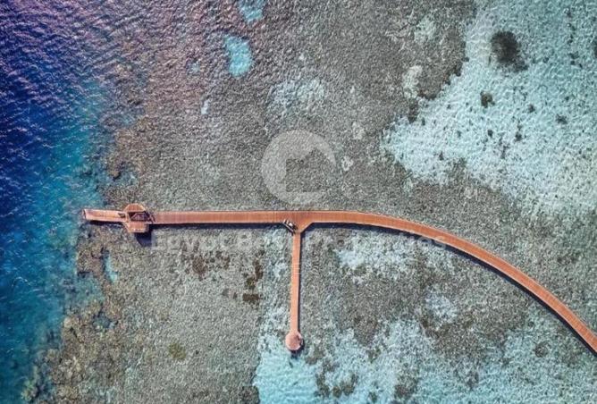 8695577 - صورة العقار 3