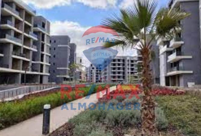 75391597 - Property Image 2