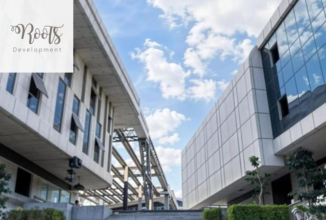 58242916 - صورة العقار 2