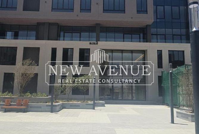 8434927 - Property Image 3