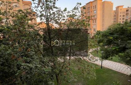 Apartment - 3 - 2 for rent in B8 - Madinaty - Cairo