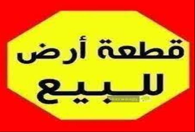81843628 - صورة العقار 2