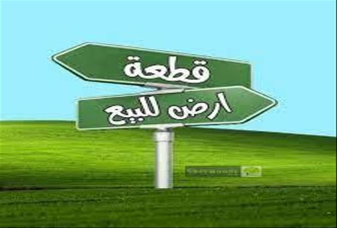 81843628 - صورة العقار 3