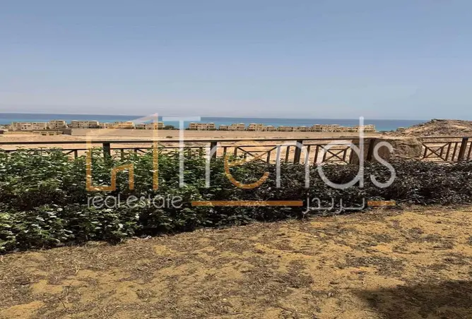 116745023 - صورة العقار 2