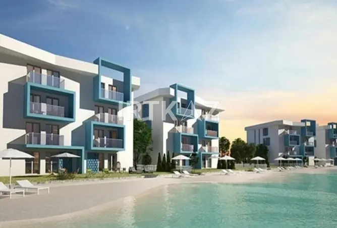 111313581 - Property Image 2
