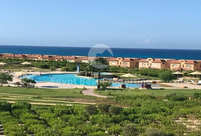 66167892 - Property Image 2