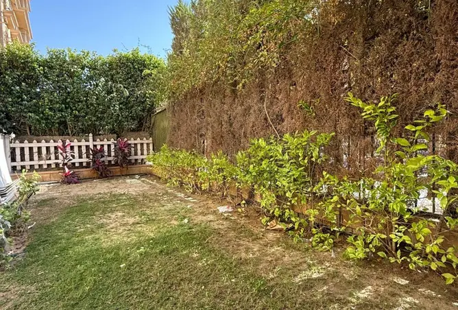 113535785 - Property Image 2