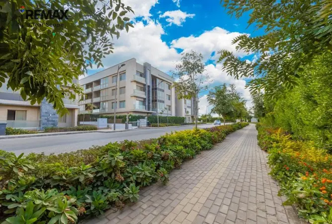 118552326 - Property Image 3