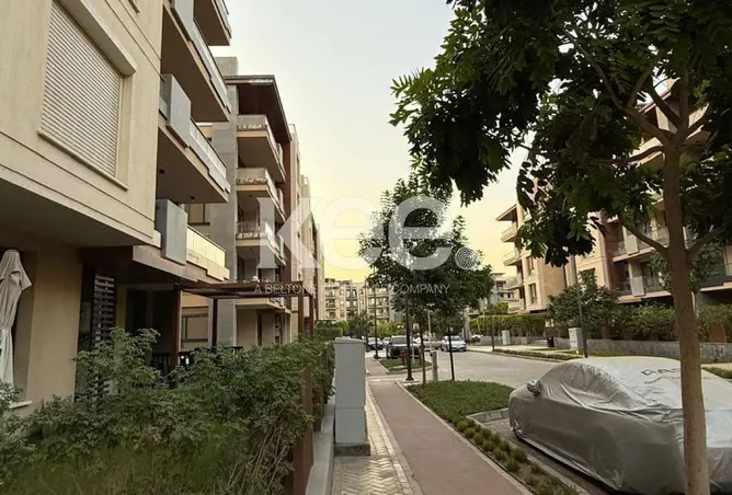 117536699 - Property Image 3