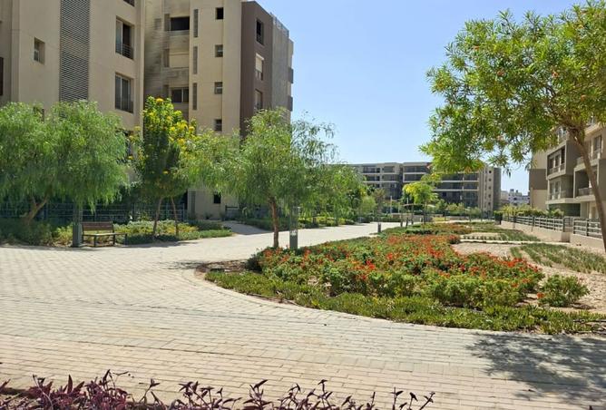 8513574 - Property Image 2