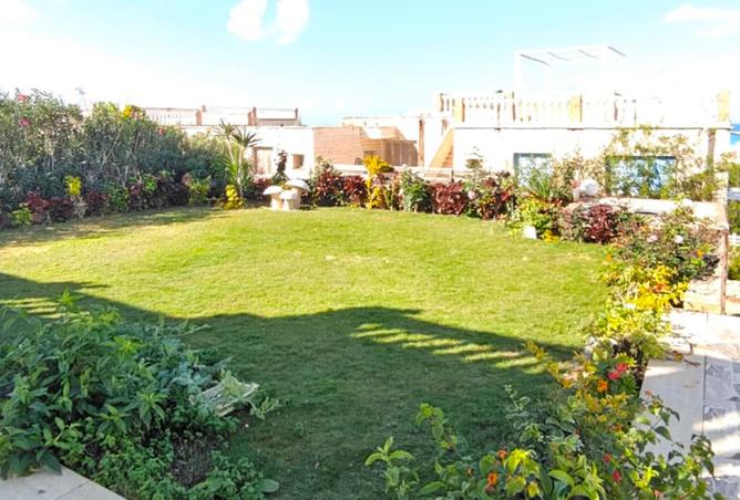 8440778 - Property Image 3