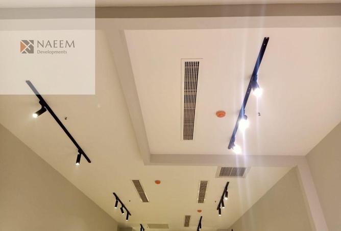 52723317 - Property Image 3