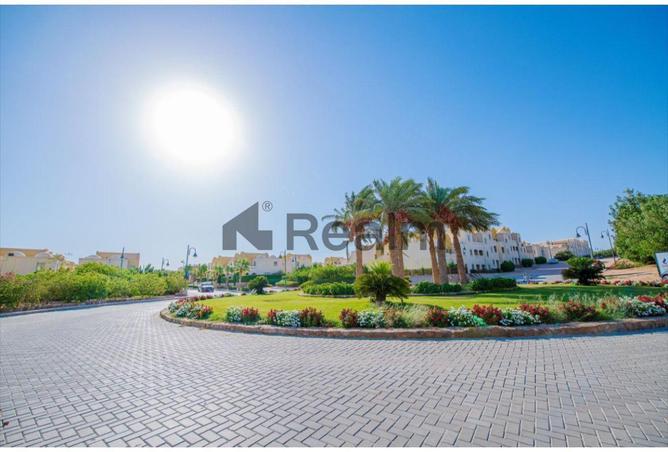 8581432 - Property Image 3