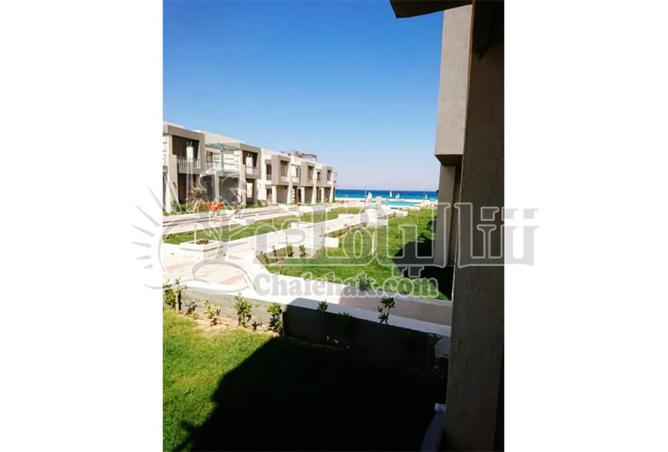 8717572 - صورة العقار 3