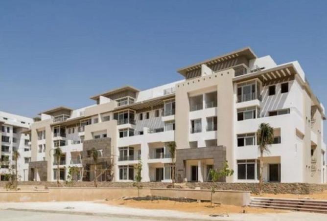 81562117 - Property Image 3
