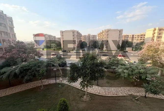 119595280 - صورة العقار 3