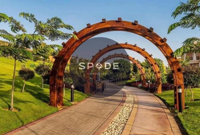 65164890 - Property Image 3