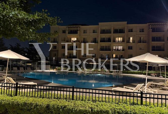 8597204 - Property Image 2