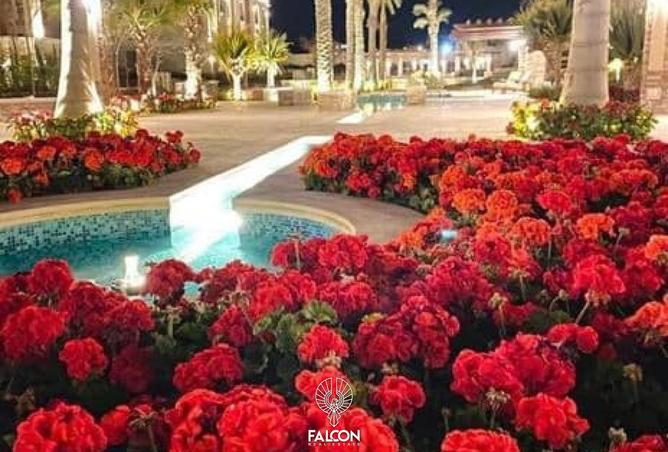 105169888 - صورة العقار 2
