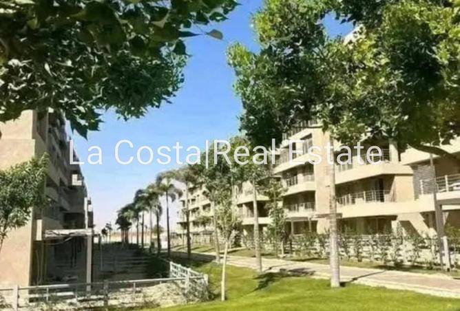 8689613 - Property Image 3